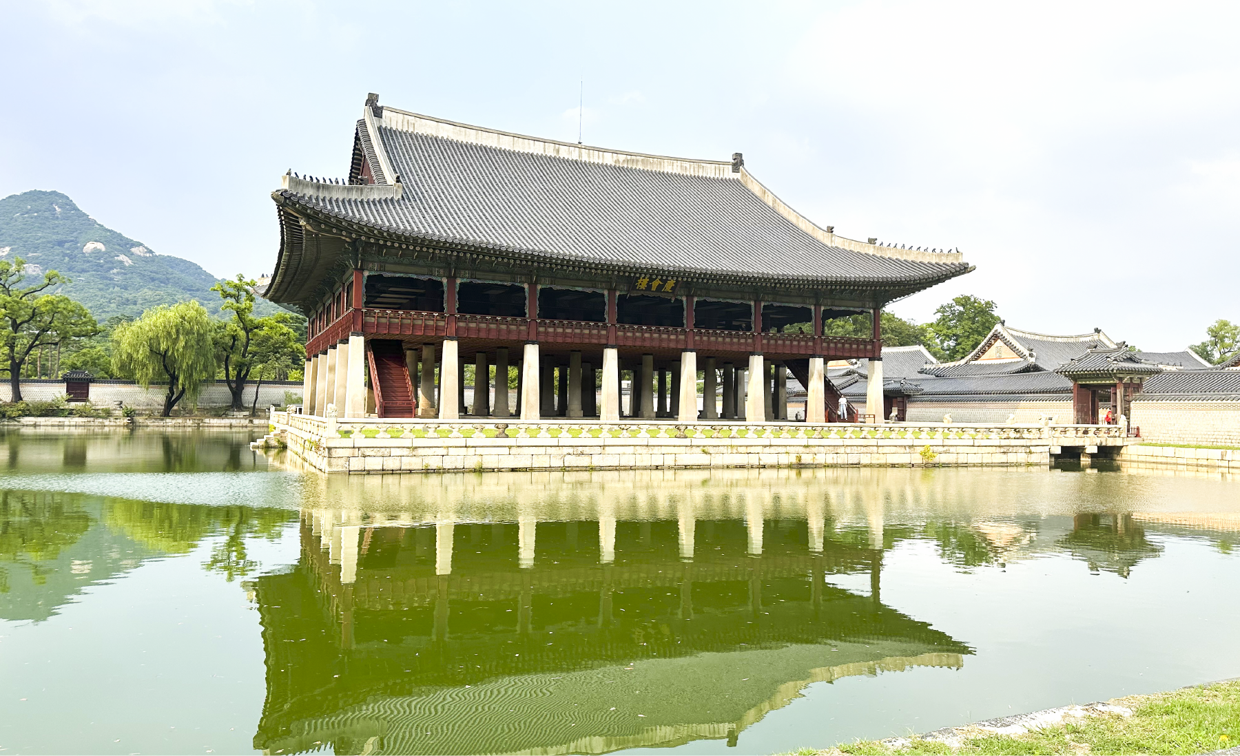 韓国文化研修